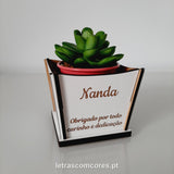 Vaso para planta - Modelo 1
