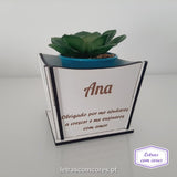 Vaso para planta - Modelo 1