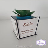 Vaso para planta - Modelo 1