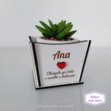 Vaso para planta - Modelo 1